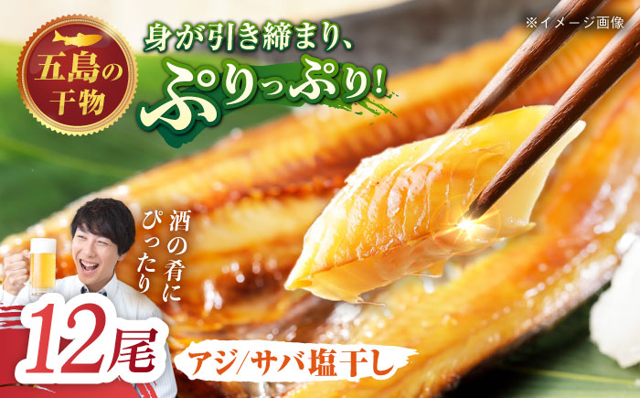 【L】一夜干し 塩干し（アジ/サバ）計12尾 五島市/愛情食彩[PCH025]