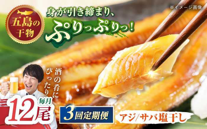 【3回定期便】【L】一夜干し 塩干し（アジ/サバ）計12尾 五島市/愛情食彩[PCH026]