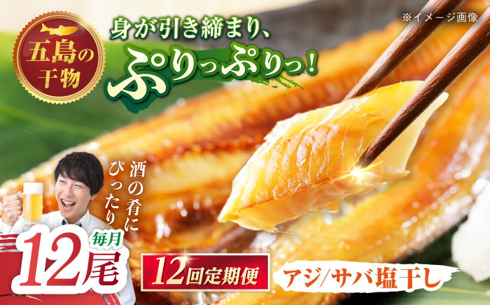 【12回定期便】【L】一夜干し 塩干し（アジ/サバ）計12尾 五島市/愛情食彩[PCH028]