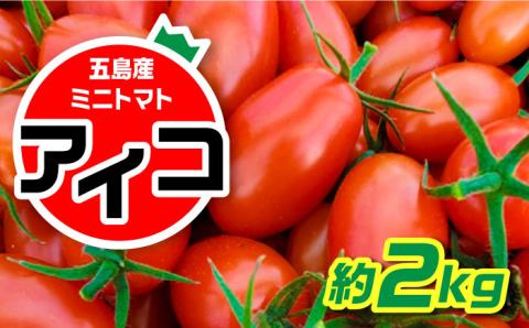 【食卓にトマトで彩りと笑顔を！】あまくておいしい！ミニトマト約2kg【野口とまと】[PCJ001]