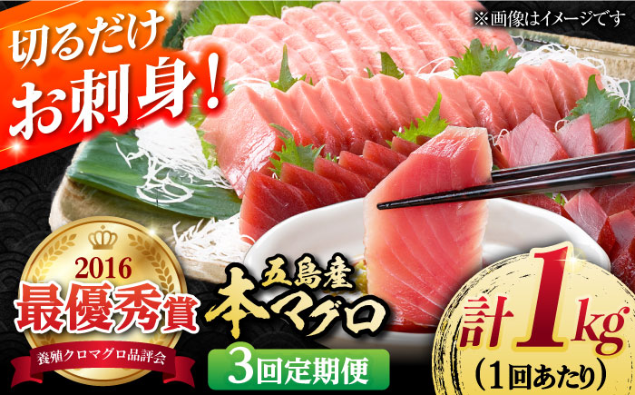 【3回定期便】本マグロブロック詰合せ1kg（養殖） 五島市/奥浦海鮮直売所[PCL009]  柵 刺身 マグロ まぐろ 鮪 さしみ とろ トロ 刺し身 冷凍 魚 鮮魚刺身柵