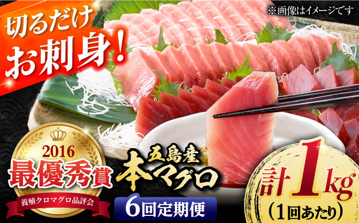 【6回定期便】本マグロブロック詰合せ1kg（養殖） 五島市/奥浦海鮮直売所[PCL010]  柵 刺身 マグロ まぐろ 鮪 さしみ とろ トロ 刺し身 冷凍 魚 鮮魚刺身柵
