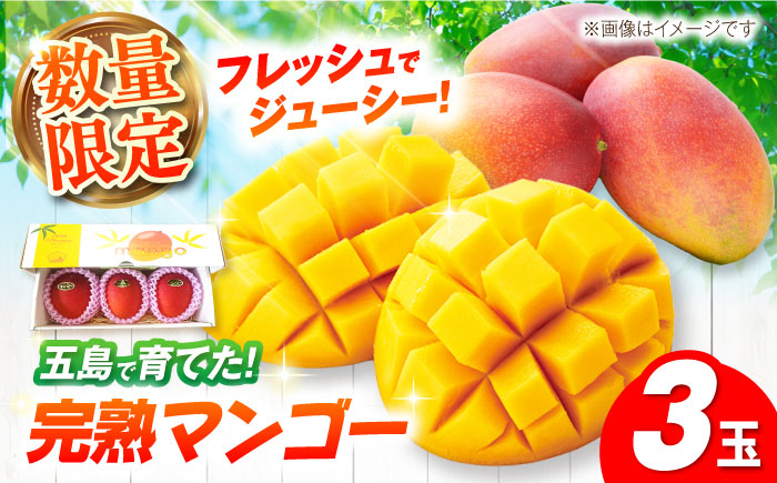 【先行予約】栄養満点 五島産完熟マンゴー (3玉入) 五島市/HPIファーム [PCP001]