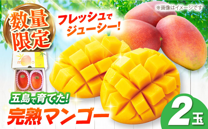 【先行予約】栄養満点 五島産完熟マンゴー (2玉入)五島市/HPIファーム [PCP002]
