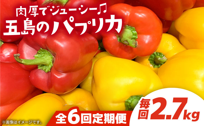 【全6回定期便】 五島のパプリカ 約2.7kg 五島市/HPIファーム [PCP005]