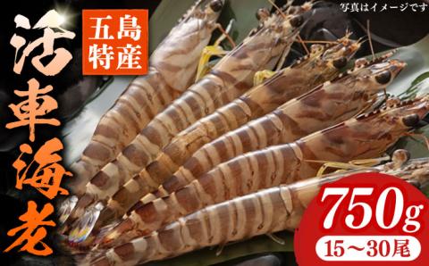 【先行予約】新鮮 五島特産 活車海老 (養殖)750ｇ（15~30尾）国産 五島市/拓水 五島事業場 [PCU001]