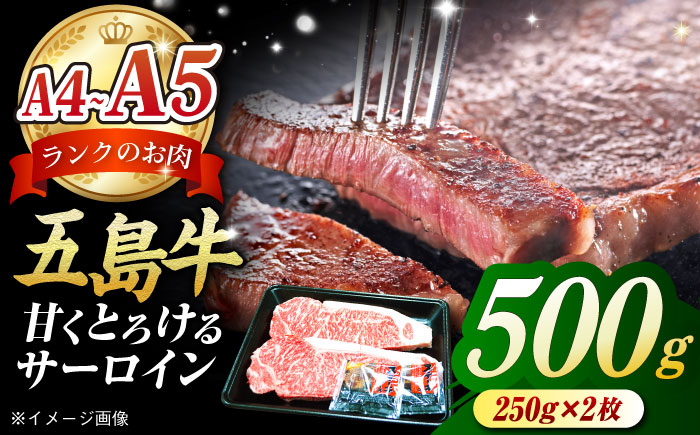 五島牛 サーロインステーキ500g（250g×2枚）五島市/肉のマルヒサ[PCV002] A4 A5 国産 国産牛 牛肉 ブランド牛