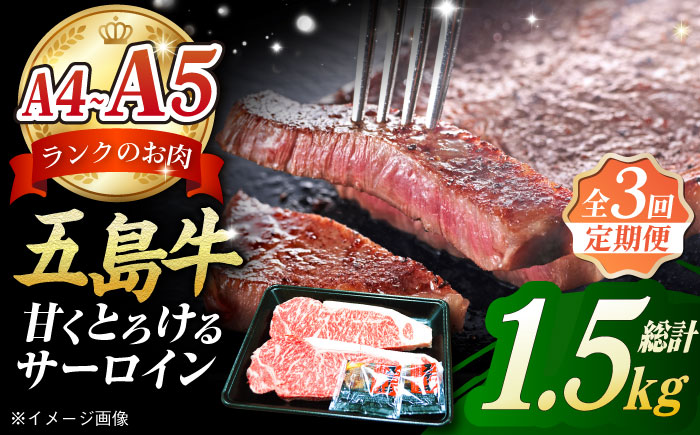 【3回定期便】五島牛 サーロインステーキ500g（250g×2枚） 五島市/肉のマルヒサ[PCV011]
