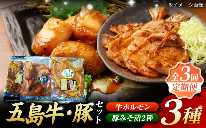 【3回定期便】【五島のお肉3種】五島牛ホルモン＆五島豚ロースみそ漬＆五島豚スライスみそ漬 五島市/肉のマルヒサ[PCV019]