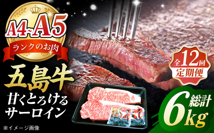 【12回定期便】五島牛 サーロインステーキ500g（250g×2枚） 五島市/肉のマルヒサ[PCV029]