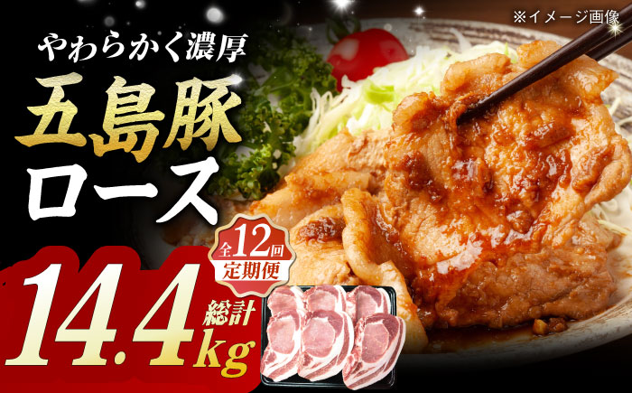 【12回定期便】五島豚 極厚ロース1.2kg （200g×6枚）五島市/肉のマルヒサ[PCV036]