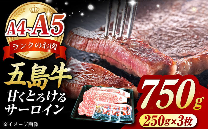 五島牛 サーロインステーキ750g（250g×3枚）五島市/肉のマルヒサ[PCV054]   A4 A5 国産牛 牛肉 ブランド牛A4 A5 国産牛 牛肉 ブランド牛 サーロイン