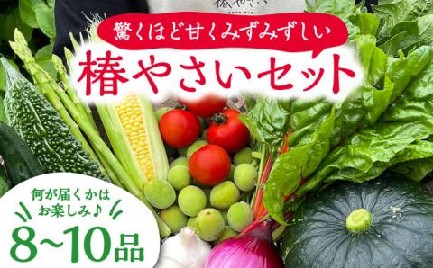 何が届くかはお楽しみ 椿やさいの野菜セット(8-10品)詰合せ 五島市/いきいきファーム [PCY001]