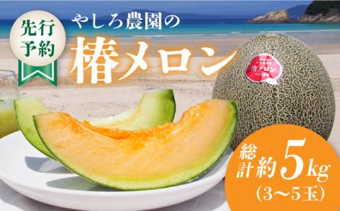 【先行予約】【2026年6月順次発送】やしろ農園の椿メロン 赤肉 緑 メロン フルーツ 果物 五島市/いきいきファーム [PCY008]