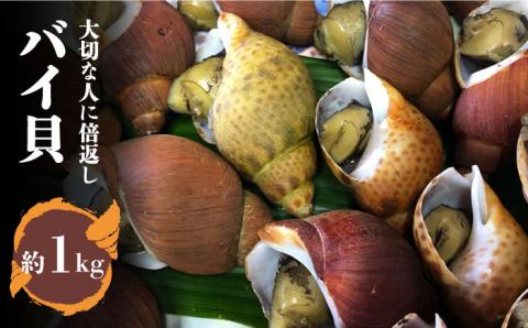 【噛めば噛むほど甘味広がる】五島産 特選 バイ貝 1kg 五島市/バラキン市場 [PDK002]