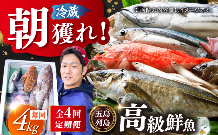 【全4回定期便】【五島列島直送】朝獲れ高級鮮魚セット4kg 五島市 / 鯛福丸水産[PDP006]  魚 鮮魚 セット 海鮮 直送 さかな 詰合せ 冷蔵 定期