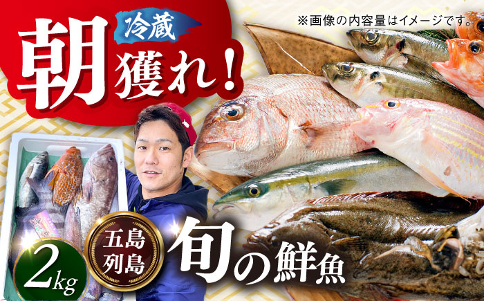【五島列島直送】朝獲れ鮮魚セット2kg 五島市/鯛福丸水産[PDP008]  鮮魚 セット 冷蔵 魚 海鮮 直送 さかな 詰合せ
