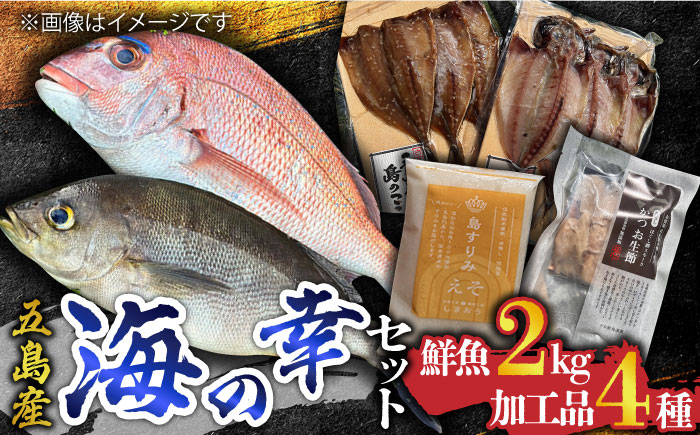 【五島列島直送】五島の海の幸セット 五島市 / 鯛福丸水産[PDP009]  魚 鮮魚 セット 海鮮 直送 さかな 詰合せ 冷蔵 定期