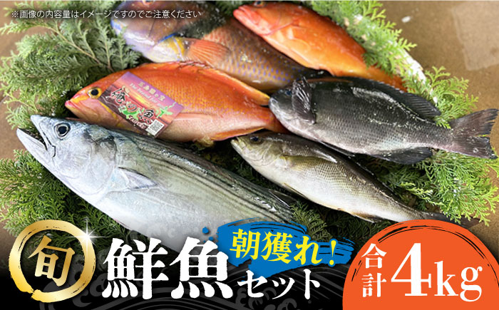 【五島列島直送】朝獲れ鮮魚セット4kg　鯛福丸水産/五島市[PDP011]   魚 鮮魚 セット 海鮮 直送 さかな 詰合せ 冷蔵