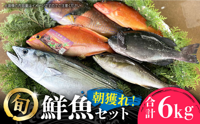【五島列島直送】朝獲れ鮮魚セット6kg 五島市/鯛福丸水産[PDP012]   魚 鮮魚 セット 海鮮 直送 さかな 詰合せ 冷蔵