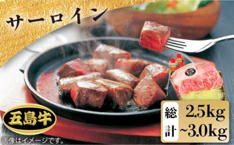 【日時指定必須】五島牛特上 サーロイン 2.5kg-3kg 国産牛 牛肉 ブランド牛 （ソース付） 五島市/鬼岳牧場[PEK006]