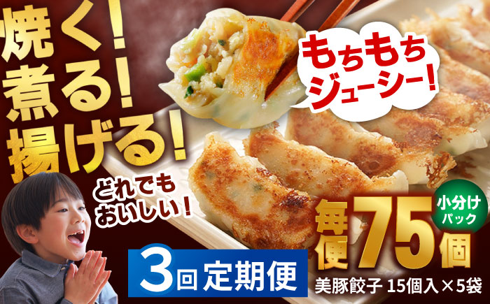 【3回定期便】美豚餃子75個（15個×5袋） 五島市/長崎フードサービス[PEL006]  冷凍 餃子 飲茶 中華 ぎょうざ ギョウザ