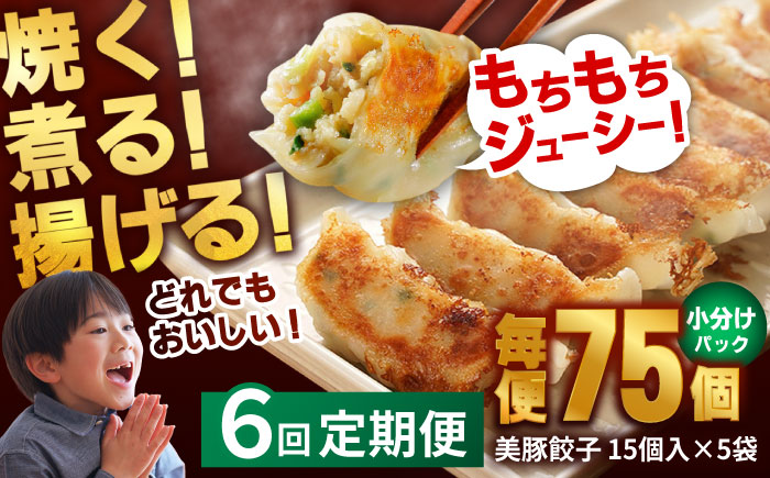 【6回定期便】美豚餃子75個（15個×5袋） 五島市/長崎フードサービス[PEL009]  冷凍 餃子 飲茶 中華 ぎょうざ ギョウザ