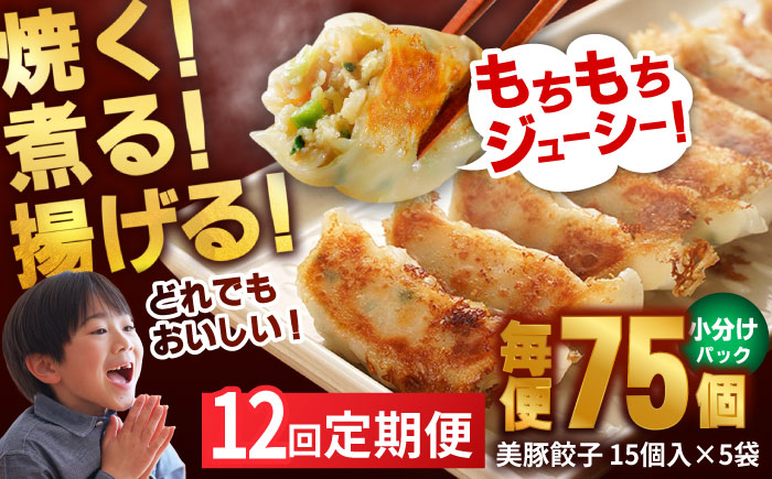 【12回定期便】美豚餃子75個（15個×5袋） 五島市/長崎フードサービス[PEL012]  冷凍 餃子 飲茶 中華 ぎょうざ ギョウザ