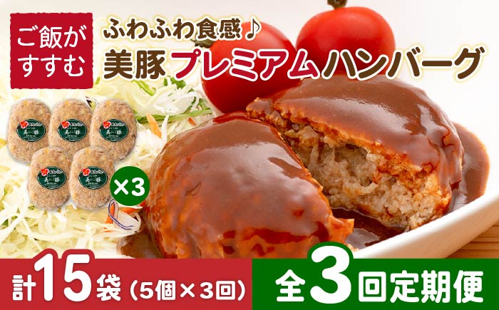【3回定期便】五島美豚プレミアムハンバーグ5個 五島市/長崎フードサービス[PEL040]  ハンバーグ 手作り  肉 豚 豚肉 国産