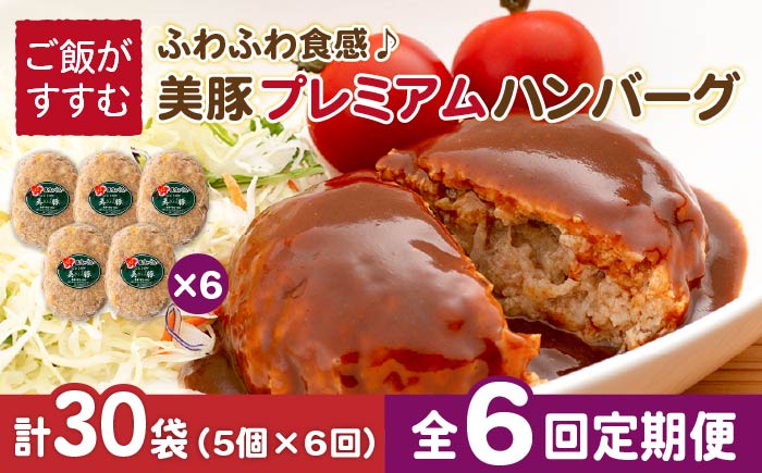 【6回定期便】五島美豚プレミアムハンバーグ5個 五島市/長崎フードサービス[PEL041]  ハンバーグ 手作り  肉 豚 豚肉 国産