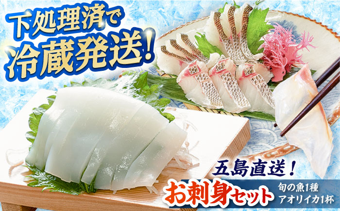 【冷蔵】【下処理済】鮮魚ボックス（魚1種/アオリイカ）五島市/金沢鮮魚[PEP001] 金澤仕立て  鮮魚 冷蔵 真空パック 新鮮 下処理済み 海鮮 刺身 セット 水いか