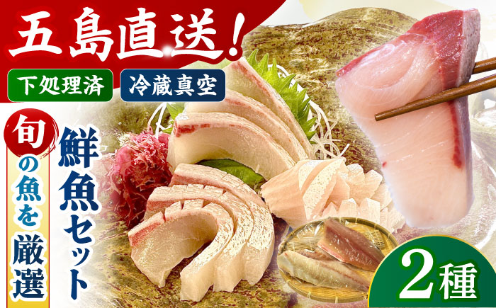 【冷蔵】【下処理済】鮮魚ボックス2種 五島市/金沢鮮魚[PEP006] 金澤仕立て  鮮魚 冷蔵 真空パック 新鮮 下処理済み 海鮮 刺身 セット