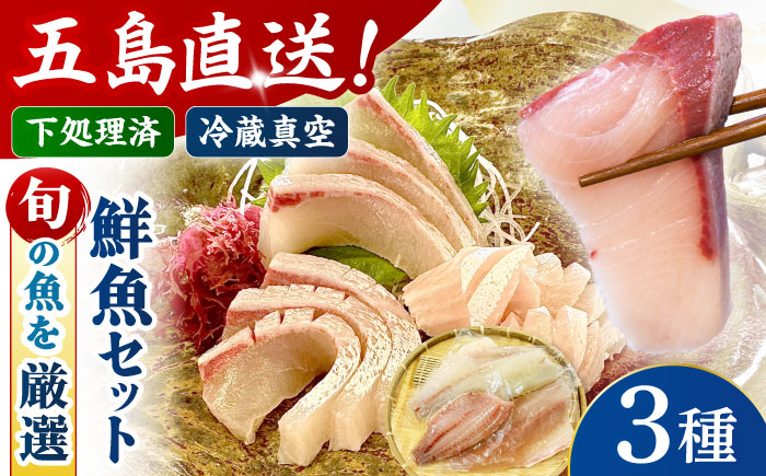 【冷蔵】【下処理済】鮮魚ボックス3種 五島市/金沢鮮魚[PEP007]  鮮魚 冷蔵 真空パック 新鮮 下処理済み 海鮮 刺身 お刺し身 お刺身 おさしみ セット 魚 魚介 魚介類 金澤仕立て  鮮魚 冷蔵 真空パック 新鮮 下処理済み 海鮮 刺身 セット