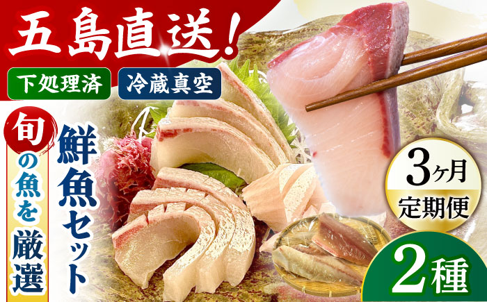 【3回定期便】【冷蔵】【下処理済】鮮魚ボックス2種 五島市/金沢鮮魚[PEP009] 金澤仕立て  鮮魚 冷蔵 真空パック 新鮮 下処理済み 海鮮 刺身 セット