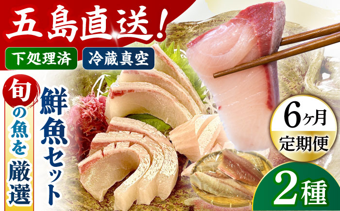 【6回定期便】【冷蔵】【下処理済】鮮魚ボックス2種 五島市/金沢鮮魚[PEP010] 金澤仕立て  鮮魚 冷蔵 真空パック 新鮮 下処理済み 海鮮 刺身 セット