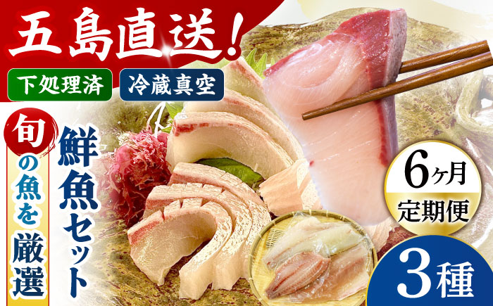 【6回定期便】【冷蔵】【下処理済】鮮魚ボックス3種 五島市/金沢鮮魚[PEP013] 金澤仕立て  鮮魚 冷蔵 真空パック 新鮮 下処理済み 海鮮 刺身 セット