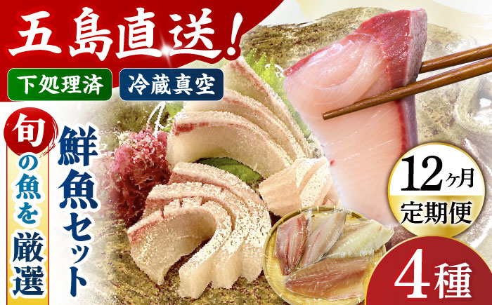 【12回定期便】【冷蔵】【下処理済】鮮魚ボックス4種 五島市/金沢鮮魚[PEP017] 金澤仕立て  鮮魚 冷蔵 真空パック 新鮮 下処理済み 海鮮 刺身 セット