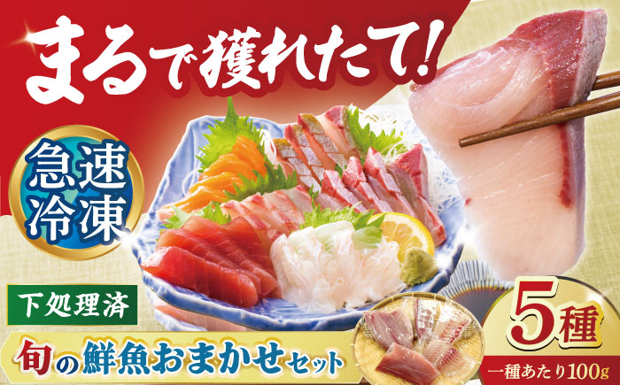 【下処理済】超速冷凍鮮魚5種 五島市 / 金沢鮮魚[PEP018]  柵 冷蔵 真空パック 新鮮 下処理済み 海鮮 刺身 セット さしみ お刺身 おさしみ お刺し身 鮮魚 魚魚 鮮魚 鮮魚ボックス