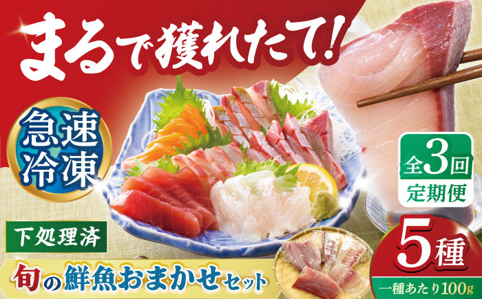 【3回定期便】【下処理済】超速冷凍鮮魚5種 五島市 / 金沢鮮魚[PEP019]