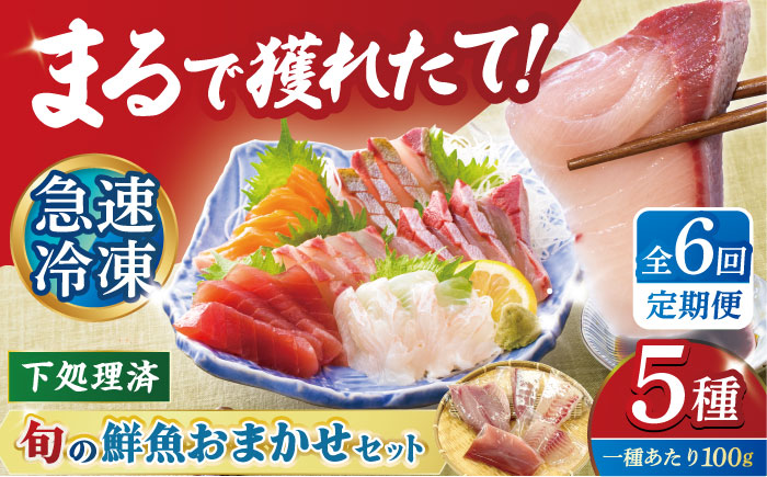 【6回定期便】【下処理済】超速冷凍鮮魚5種 五島市 / 金沢鮮魚[PEP020]