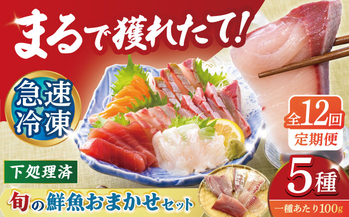 【12回定期便】【下処理済】超速冷凍鮮魚5種 五島市 / 金沢鮮魚[PEP021]