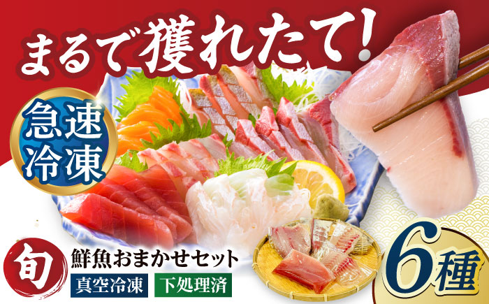 【下処理済】超速冷凍鮮魚6種（5種+焼物用1種） 五島市/金沢鮮魚[PEP064]魚 鮮魚 鮮魚ボックス