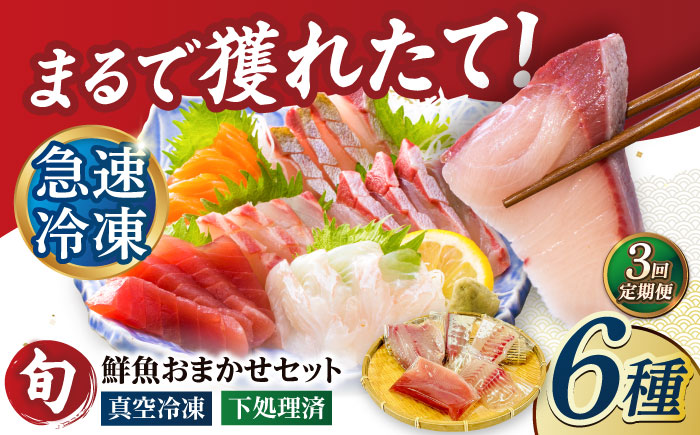 【3回定期便】【下処理済】超速冷凍鮮魚6種（5種+焼物用1種） 五島市/金沢鮮魚[PEP065]魚 鮮魚 鮮魚ボックス