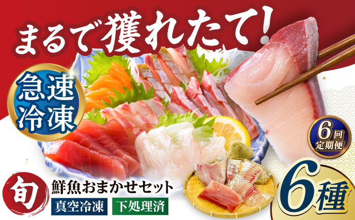 【6回定期便】【下処理済】超速冷凍鮮魚6種（5種+焼物用1種） 五島市/金沢鮮魚[PEP066]魚 鮮魚 鮮魚ボックス