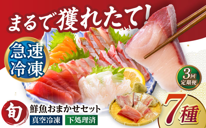 【3回定期便】【下処理済】超速冷凍鮮魚7種（5種+焼物用2種）五島市/金沢鮮魚[PEP069]