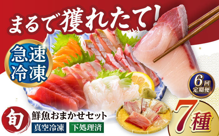 【6回定期便】【下処理済】超速冷凍鮮魚7種（5種+焼物用2種）五島市/金沢鮮魚[PEP070]