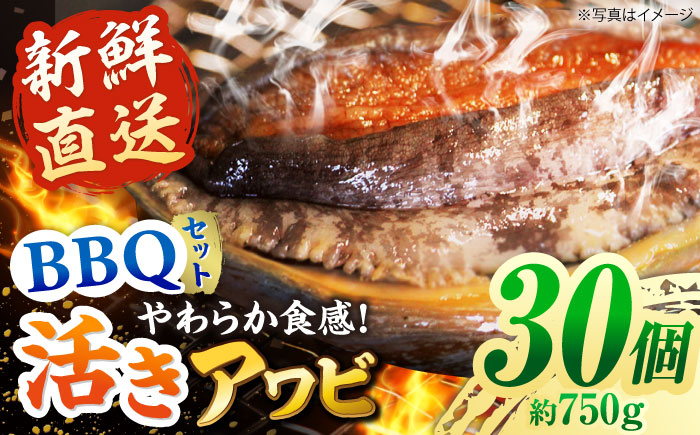 【日付指定必須】五島産養殖 活きアワビ・バーベキューセット 30個セット 約750g 五島市/（有）都工業 BBQ あわび 鮑 [PEX007]