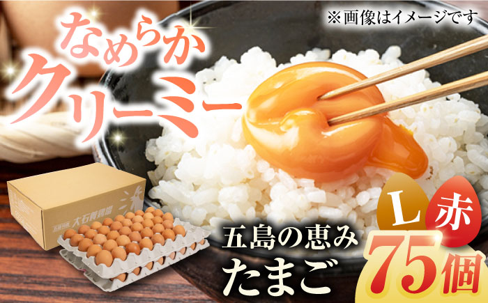【箱入り】五島の恵みたまご Lサイズ 75個入 / 卵 赤玉子五島市 / 五島列島大石養鶏場 [PFQ005]