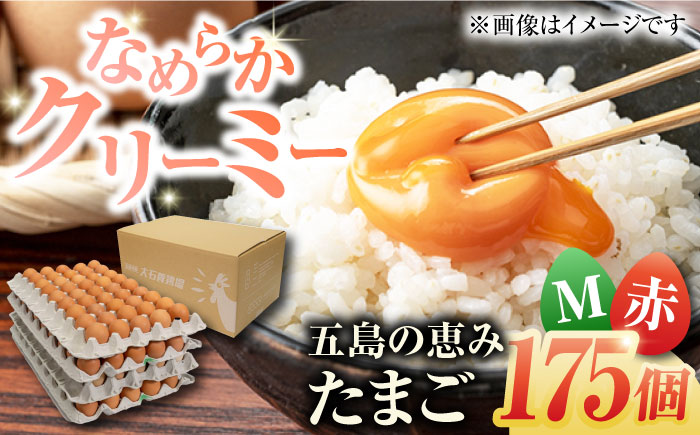 【箱入り】五島の恵みたまご Mサイズ 175個入 / 卵 赤玉子 五島市 / 五島列島大石養鶏場 [PFQ006]