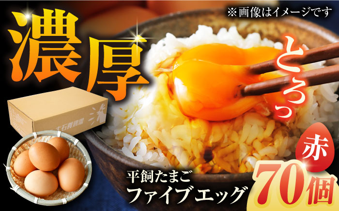 【箱入り】平飼たまご ファイブエッグ M～Lサイズ 70個 / 5EGG 卵 赤玉子五島市 / 五島列島大石養鶏場 [PFQ009]